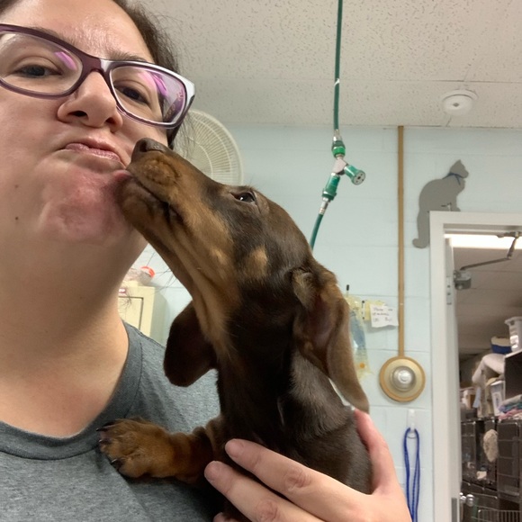 Meet your Posher, Briana - Picture 3 of 3